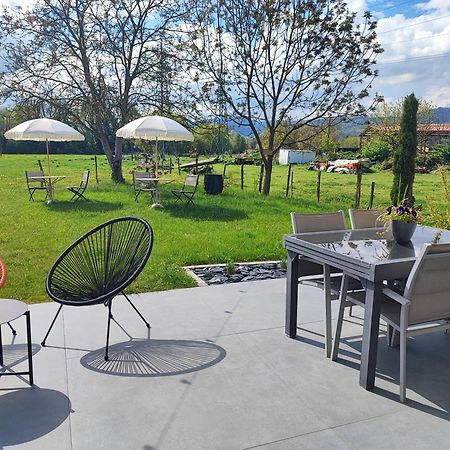 Chez " Les Ligibell " Bed & Breakfast Wintzenheim Dış mekan fotoğraf