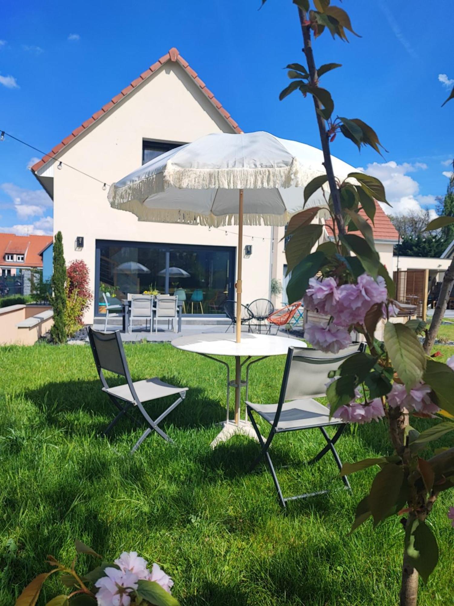 Chez " Les Ligibell " Bed & Breakfast Wintzenheim Dış mekan fotoğraf