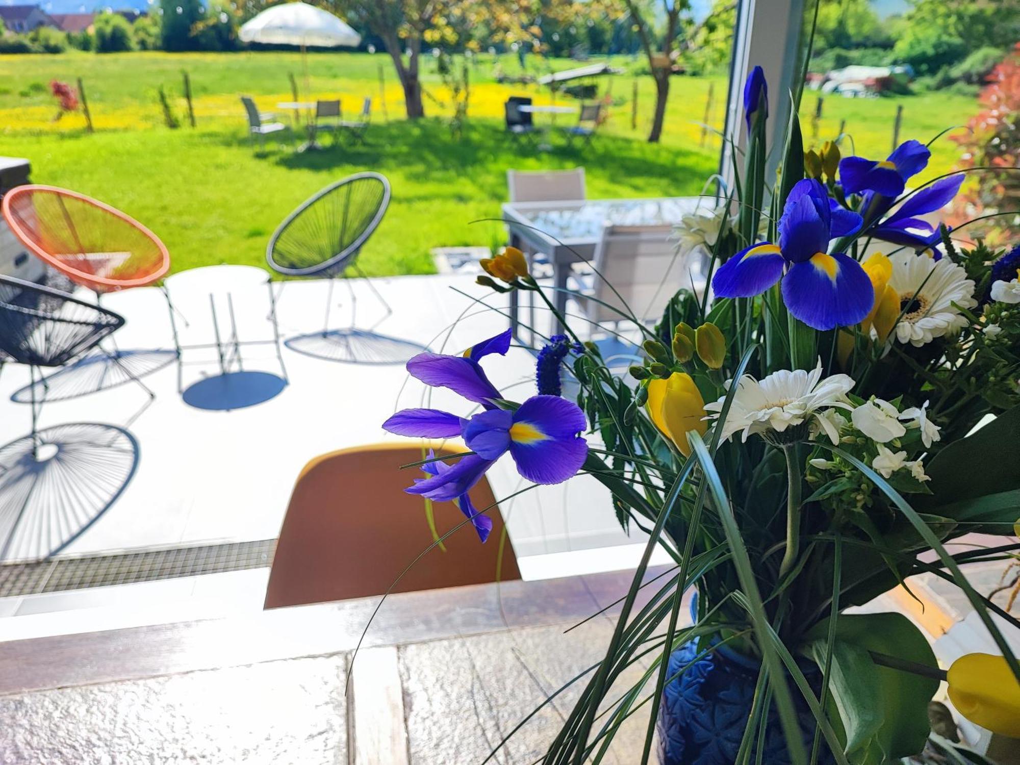 Chez " Les Ligibell " Bed & Breakfast Wintzenheim Dış mekan fotoğraf